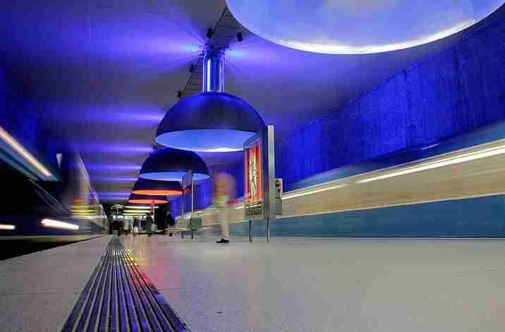 山东交通学院校花沈念慈 山东交通学院校花沈念慈